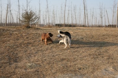 IMG_0025.JPG