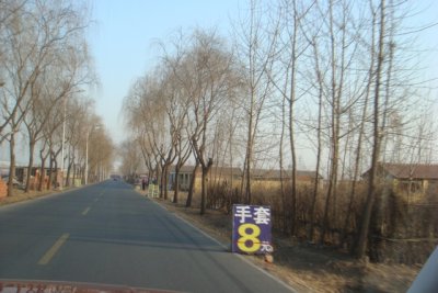 DSC01292.JPG