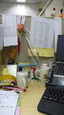 P1000910.JPG