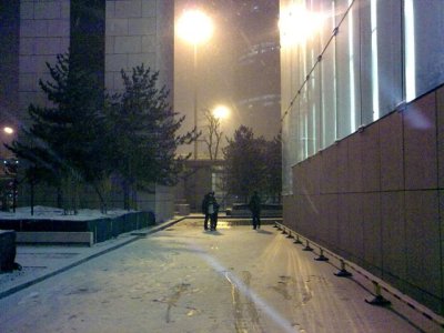 20090217245.jpg