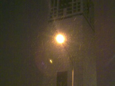 20090217249.jpg