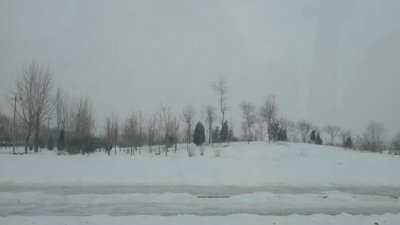 P1010048.JPG
