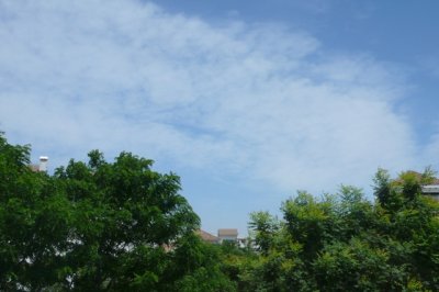 P1020458.JPG