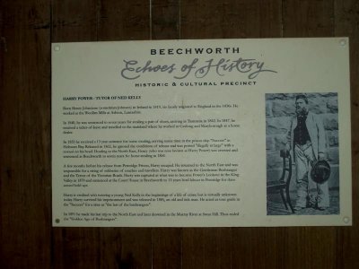 P3171353