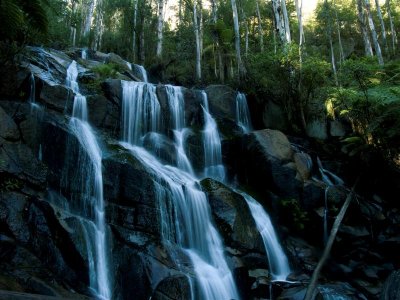 Toorongo Falls, Amphitheatre Falls and Noojee Trestle Bridge