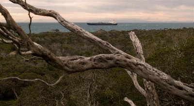 Container ship with The Dandenongs in the distance