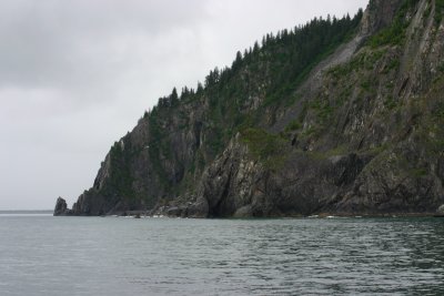 IMG_8660.JPG