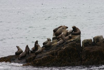 IMG_8859.JPG