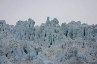 IMG_8949.JPG