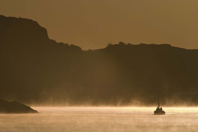 Morning mist