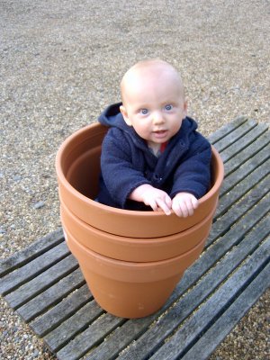 Flower pot little man