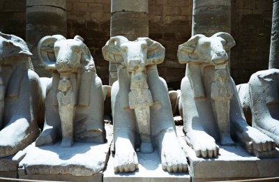 rams at Karnak Temple