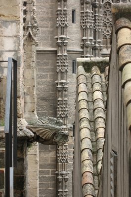 Catedral de Sevilla : gargoyles