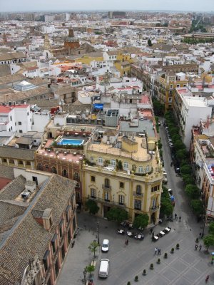 view from the top of the Giralda, the swimming pool is on the roof of our hotel!