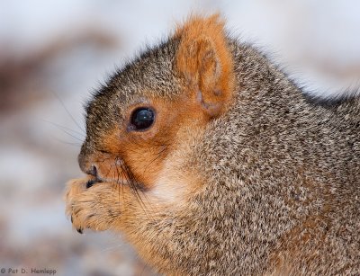 Winter meal