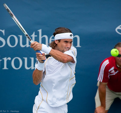 David Ferrer, 2009