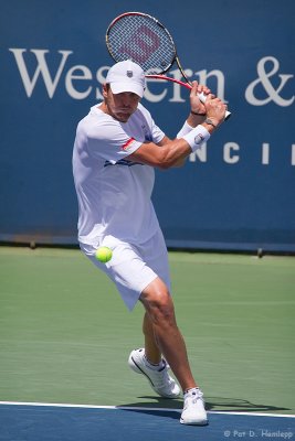 Mardy Fish, 2010