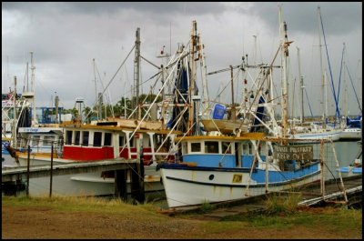 Trawlers in Scarboroough.jpg