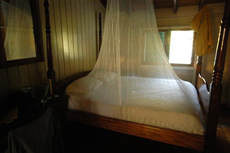 14 Mosquito netting 0715