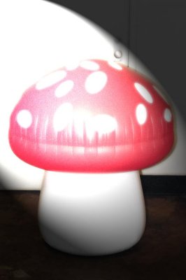 27 Magic Mushroom 4418