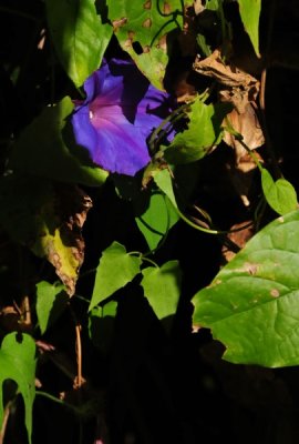 g1/31/528631/3/112485324.3X2X8olP.jpg