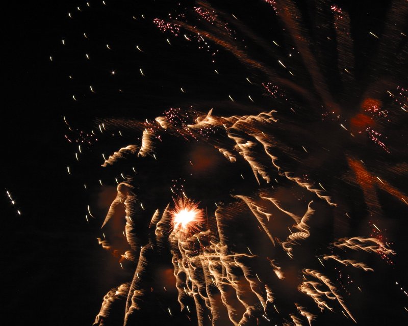 2009  (Corkscrews)