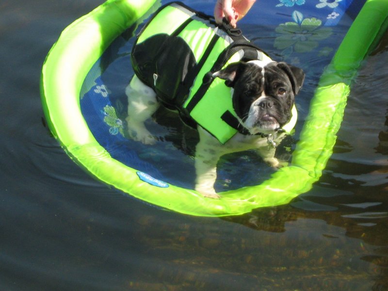 Heavier than water