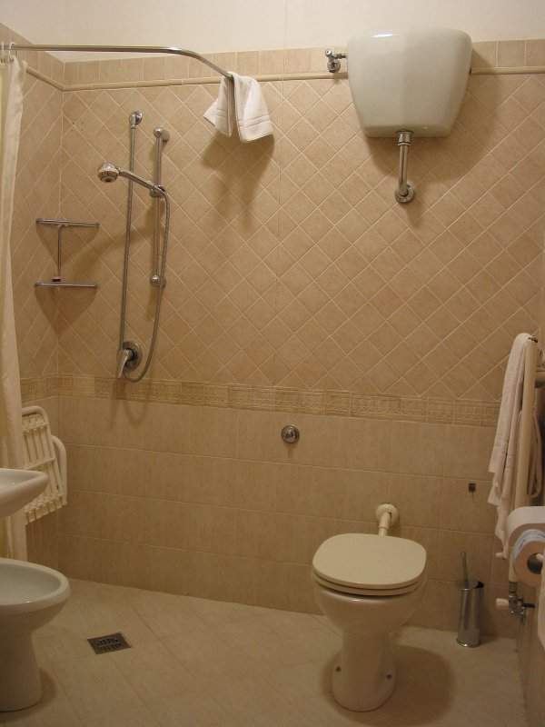Hotel shower, toilet