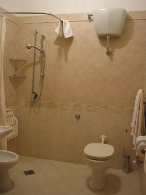 Hotel shower, toilet