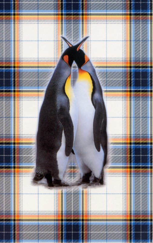 Antarctic Tartan