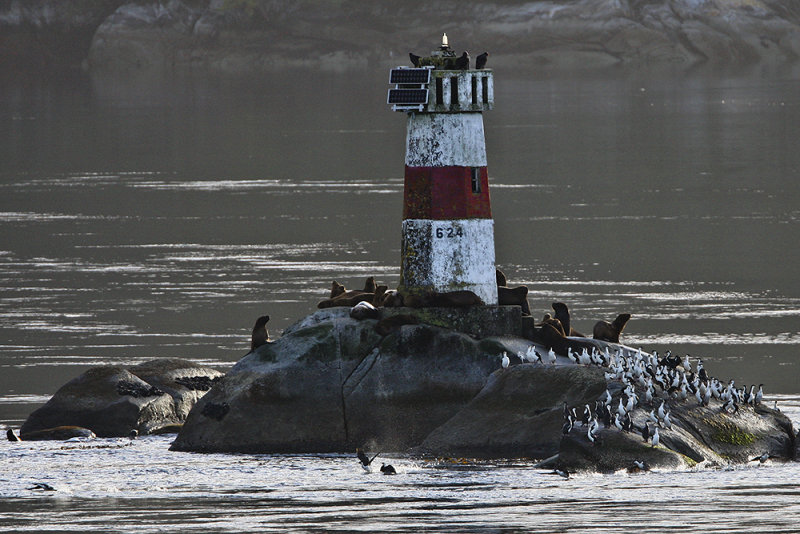 The keepers of Lighthouse 624