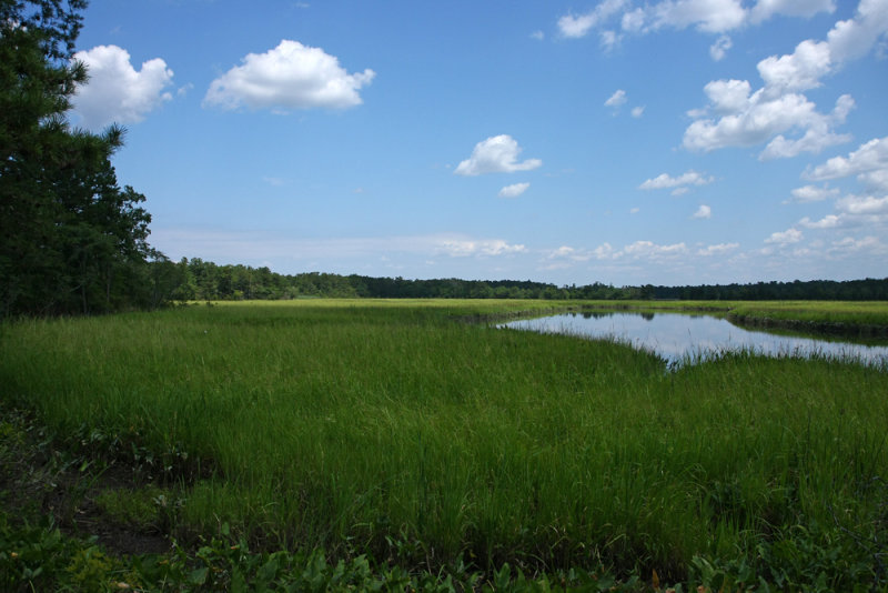 Manumuskin River