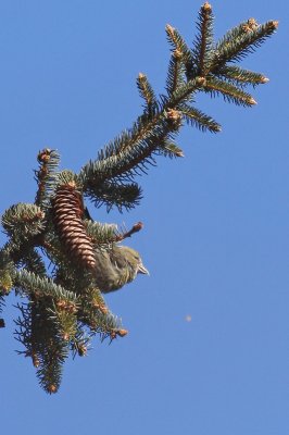 1.IMG_1477.JPG