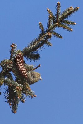 1.IMG_1478.JPG