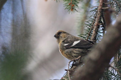 1.IMG_1640.JPG