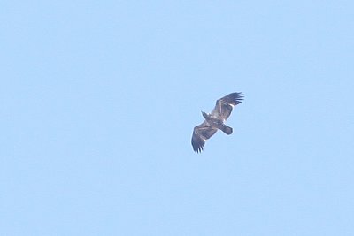 1.IMG_1843.JPG