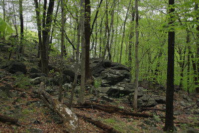 1.IMG_3248.jpg