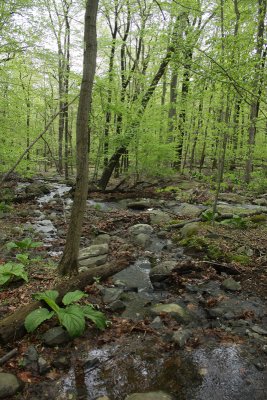 1.IMG_3249.jpg