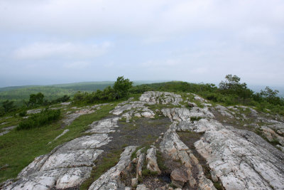 High Point/Stokes State Forest NJ