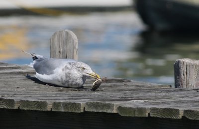 IMG_6039.jpg