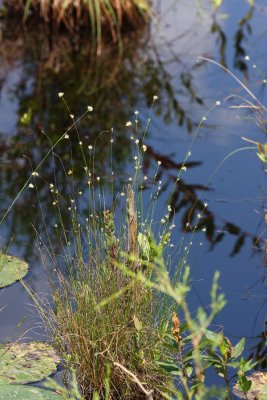 IMG_7496.jpg