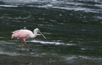 IMG_7964.jpg