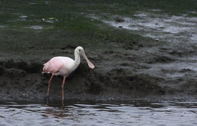 IMG_7969.jpg