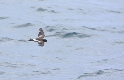 IMG_8142.jpg