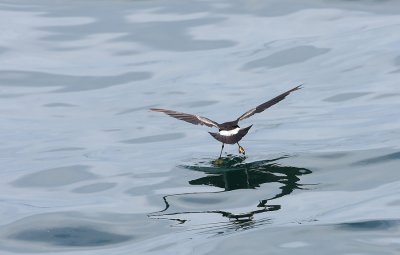 IMG_8145.jpg