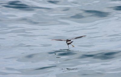 IMG_8146.jpg