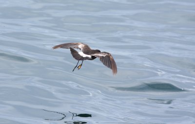 IMG_8147.jpg