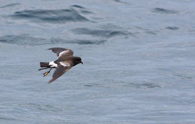 IMG_8159.jpg