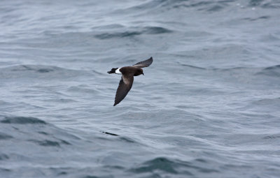 IMG_8176.jpg