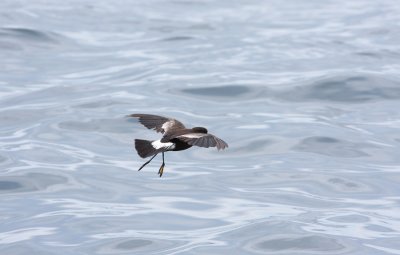 IMG_8183.jpg